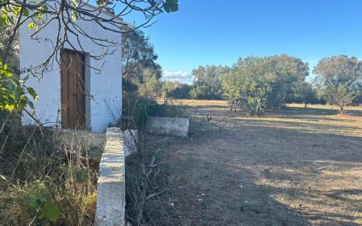 San Vito dei Normanni ref: 5553