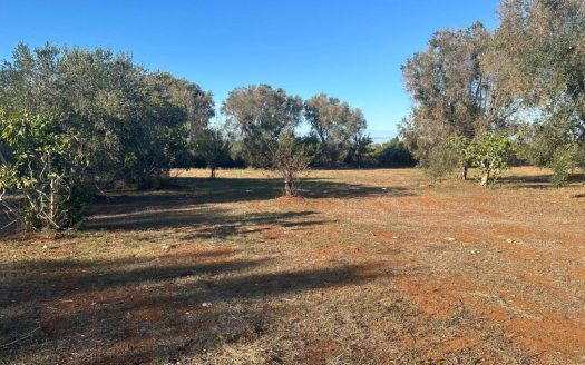 San Vito dei Normanni ref: 5553