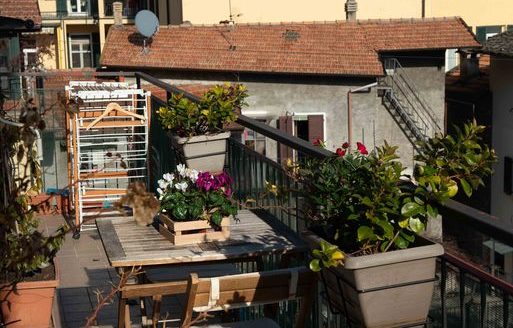 Pianello del Lario Ref: 5448