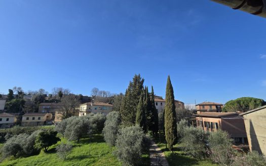 Volterra Ref: 5619