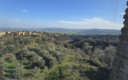 Volterra Ref: 5619
